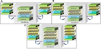 2D MoS2 monolayers integration with metal oxide-based artificial synapses